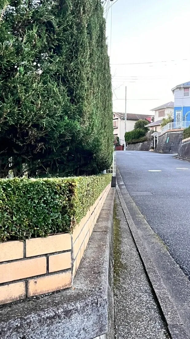 生垣の剪定