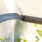 草刈り